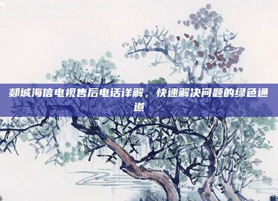 郯城海信电视售后电话详解，快速解决问题的绿色通道