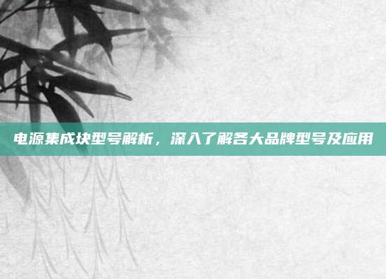 电源集成块型号解析，深入了解各大品牌型号及应用
