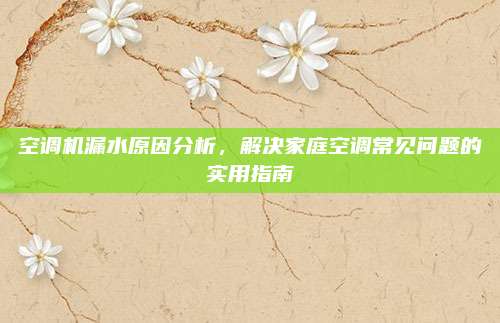 空调机漏水原因分析，解决家庭空调常见问题的实用指南
