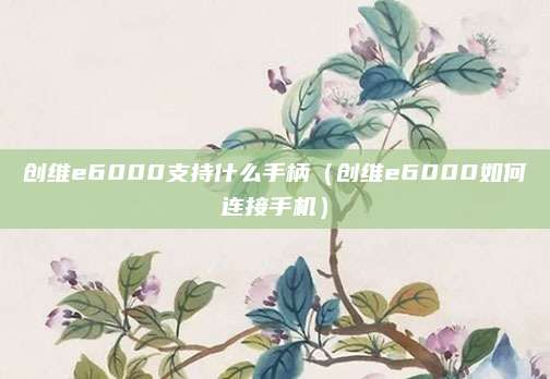创维e6000支持什么手柄（创维e6000如何连接手机）