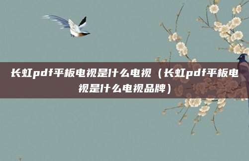 长虹pdf平板电视是什么电视（长虹pdf平板电视是什么电视品牌）
