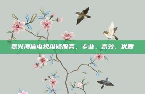 嘉兴海信电视维修服务，专业、高效、优质