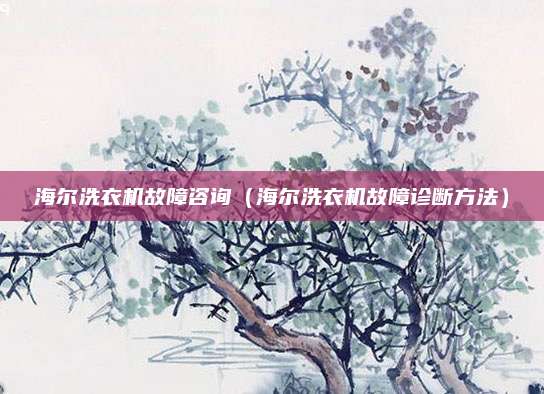 海尔洗衣机故障咨询（海尔洗衣机故障诊断方法）