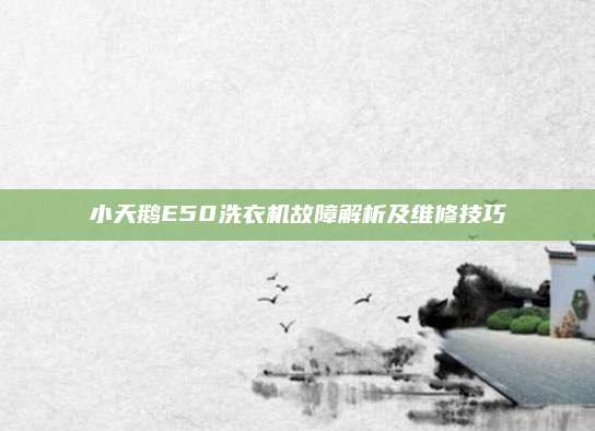 小天鹅E50洗衣机故障解析及维修技巧