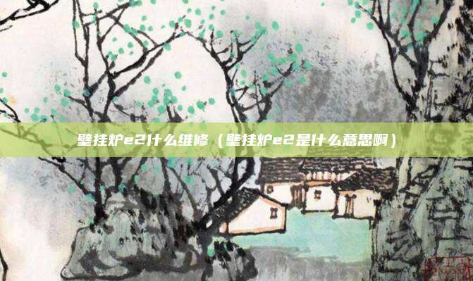 壁挂炉e2什么维修（壁挂炉e2是什么意思啊）