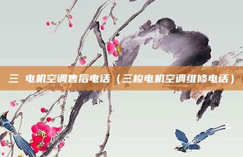 三夌电机空调售后电话(三梭电机空调维修电话)