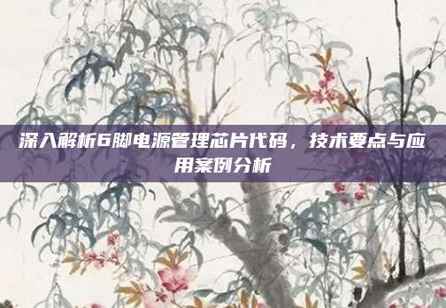 深入解析6脚电源管理芯片代码,技术要点与应用案例分析