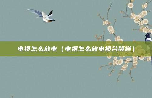 电视怎么放电(电视怎么放电视台频道)