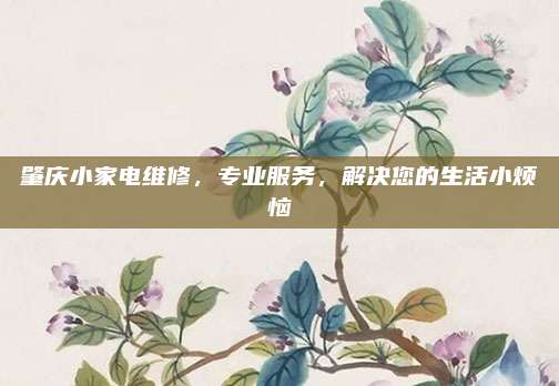 肇庆小家电维修，专业服务，解决您的生活小烦恼