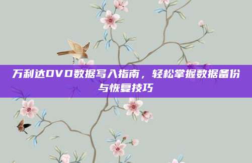 万利达DVD数据写入指南,轻松掌握数据备份与恢复技巧