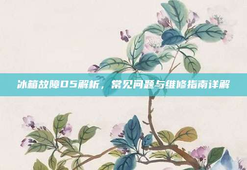 冰箱故障D5解析,常见问题与维修指南详解