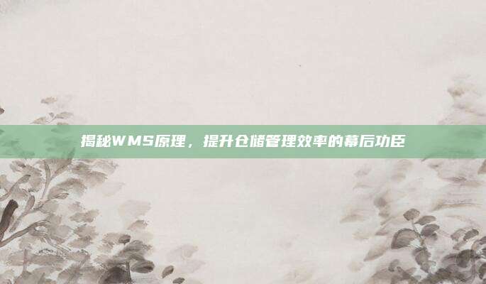 揭秘WMS原理，提升仓储管理效率的幕后功臣