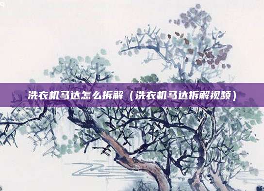 洗衣机马达怎么拆解（洗衣机马达拆解视频）