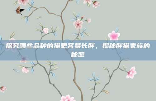 探究哪些品种的猫更容易长胖，揭秘胖猫家族的秘密