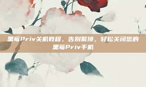 黑莓Priv关机教程，告别繁琐，轻松关闭您的黑莓Priv手机