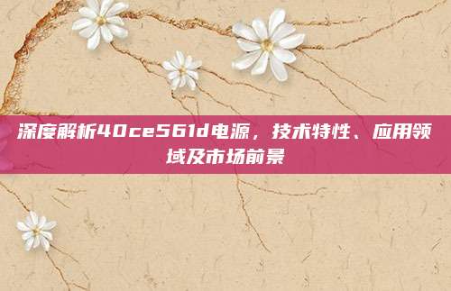 深度解析40ce561d电源，技术特性、应用领域及市场前景