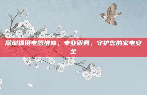 深圳福田电器维修，专业服务，守护您的家电安全