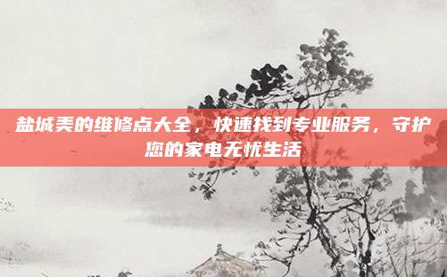 盐城美的维修点大全，快速找到专业服务，守护您的家电无忧生活