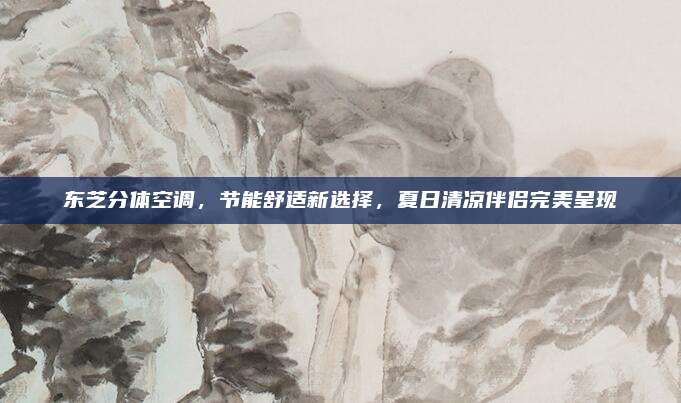 东芝分体空调，节能舒适新选择，夏日清凉伴侣完美呈现