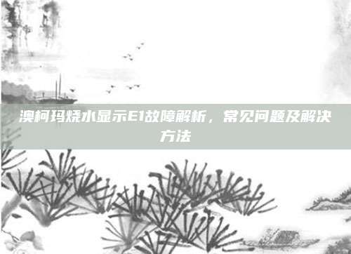 澳柯玛烧水显示E1故障解析，常见问题及解决方法