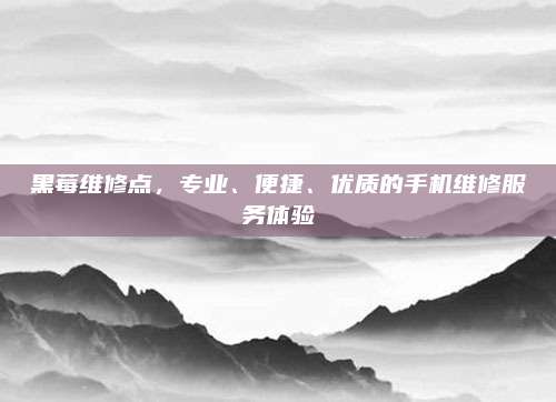 黑莓维修点，专业、便捷、优质的手机维修服务体验
