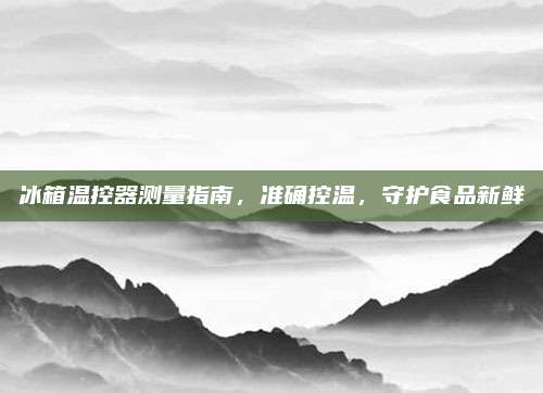 冰箱温控器测量指南,准确控温,守护食品新鲜