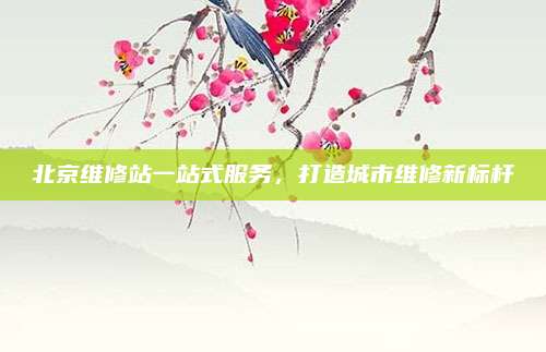 北京维修站一站式服务，打造城市维修新标杆