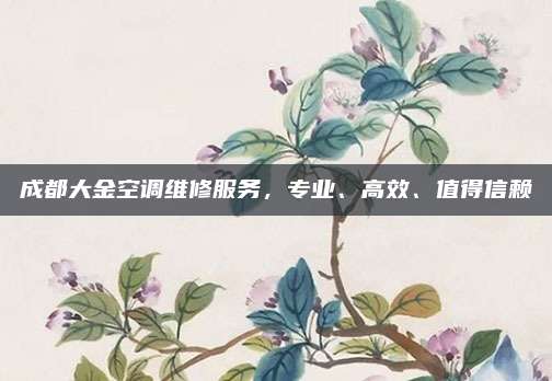 成都大金空调维修服务，专业、高效、值得信赖