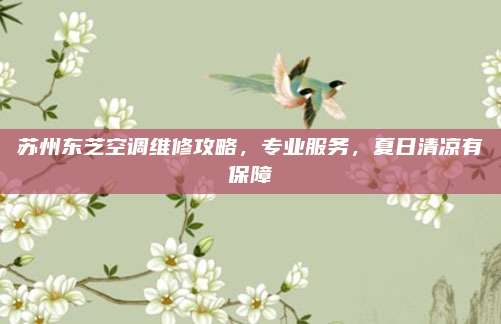 苏州东芝空调维修攻略，专业服务，夏日清凉有保障