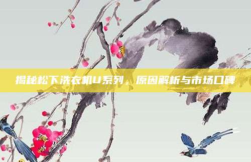 揭秘松下洗衣机U系列，原因解析与市场口碑