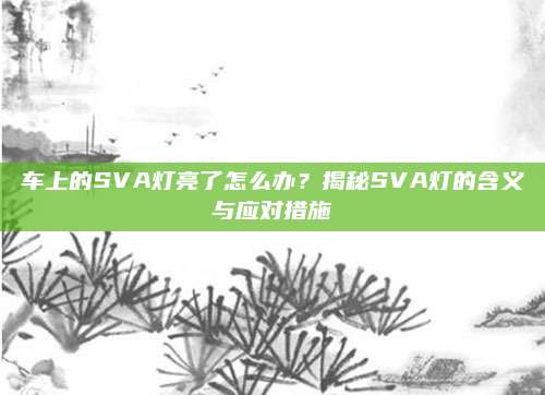 车上的SVA灯亮了怎么办？揭秘SVA灯的含义与应对措施