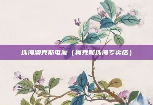珠海澳克斯电源（奥克斯珠海专卖店）
