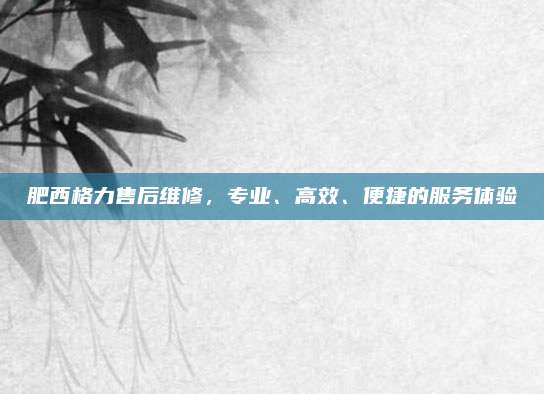 肥西格力售后维修，专业、高效、便捷的服务体验