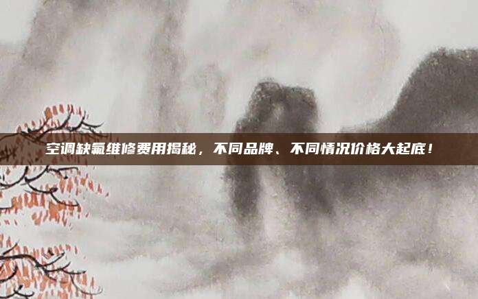 空调缺氟维修费用揭秘，不同品牌、不同情况价格大起底！