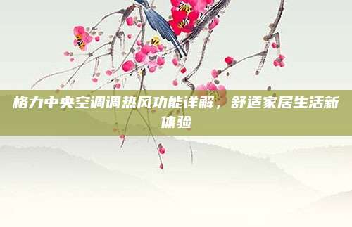 格力中央空调调热风功能详解，舒适家居生活新体验