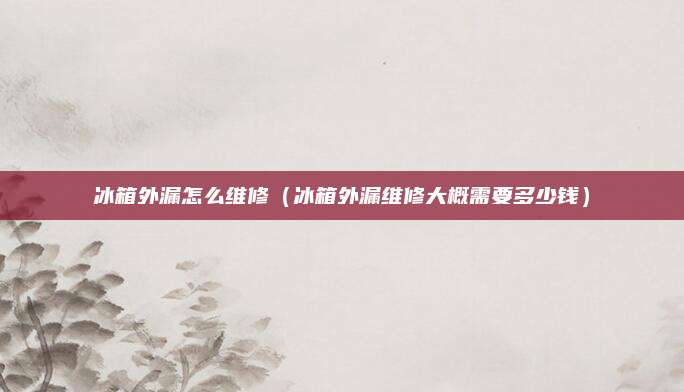 冰箱外漏怎么维修(冰箱外漏维修大概需要多少钱)
