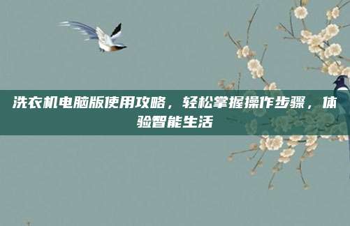 洗衣机电脑版使用攻略，轻松掌握操作步骤，体验智能生活