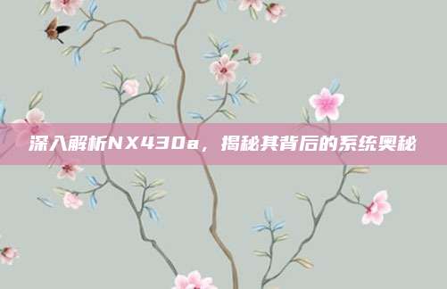 深入解析NX430a，揭秘其背后的系统奥秘