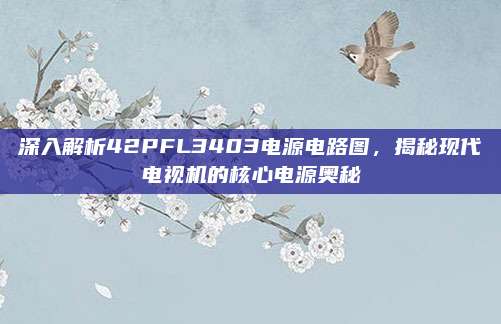 深入解析42PFL3403电源电路图,揭秘现代电视机的核心电源奥秘