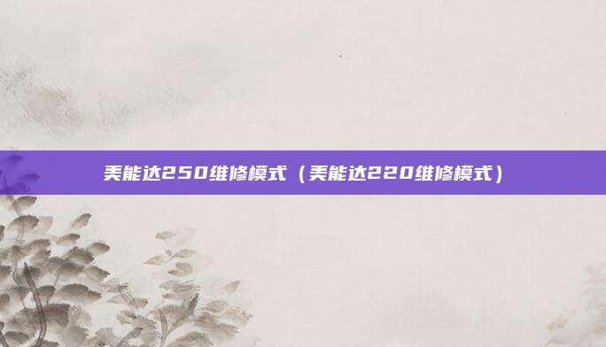 美能达250维修模式（美能达220维修模式）