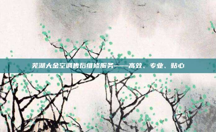 芜湖大金空调售后维修服务——高效、专业、贴心