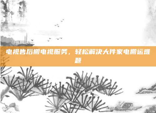 电视售后搬电视服务，轻松解决大件家电搬运难题