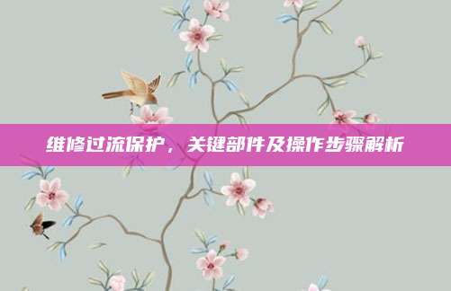 维修过流保护，关键部件及操作步骤解析