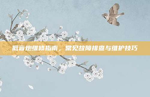 低音炮维修指南,常见故障排查与维护技巧