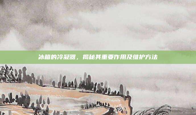 冰箱的冷凝器，揭秘其重要作用及维护方法