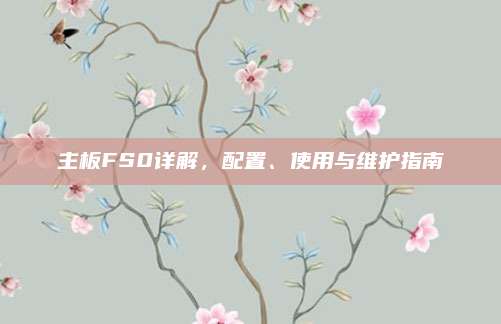 主板FS0详解，配置、使用与维护指南