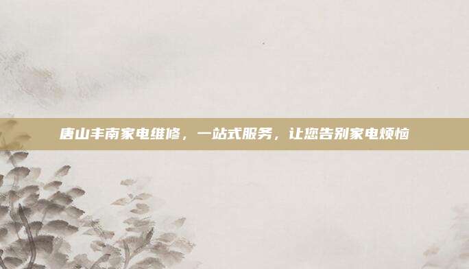 唐山丰南家电维修，一站式服务，让您告别家电烦恼