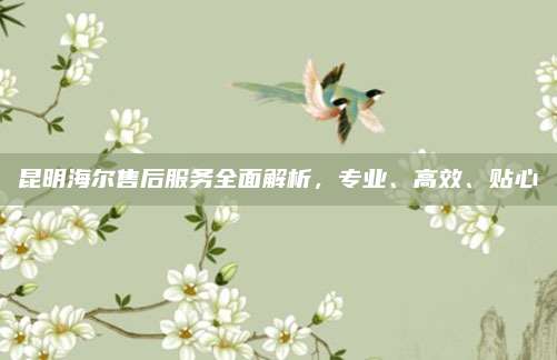 昆明海尔售后服务全面解析，专业、高效、贴心