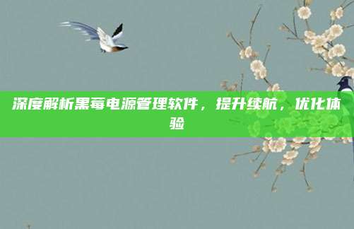 深度解析黑莓电源管理软件，提升续航，优化体验
