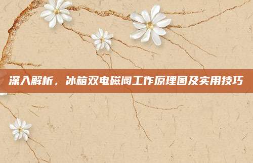 深入解析，冰箱双电磁阀工作原理图及实用技巧